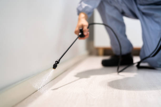 Licensed Rodent Control service in Benton County County, MN - Nex Pest Control