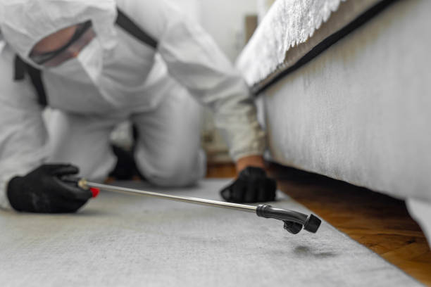 Professional Rodent Control technician working in Benton County County, MN
